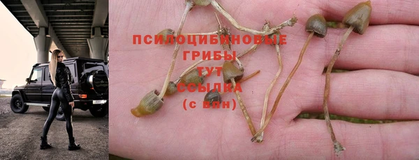 Альфа ПВП Куйбышев