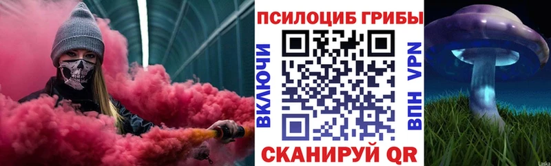 Галлюциногенные грибы Magic Shrooms  купить наркотики цена  маркетплейс формула  Михайловка 