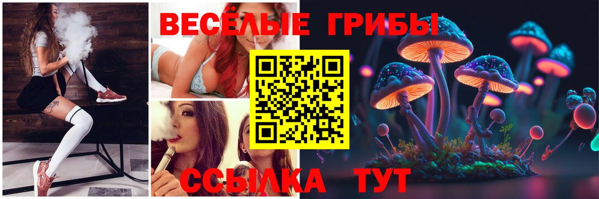 Михайловка  Псилоцибиновые грибы прущие грибы  Вход с VPN  где найти наркотики  Галлюциногенные грибы ЛСД 