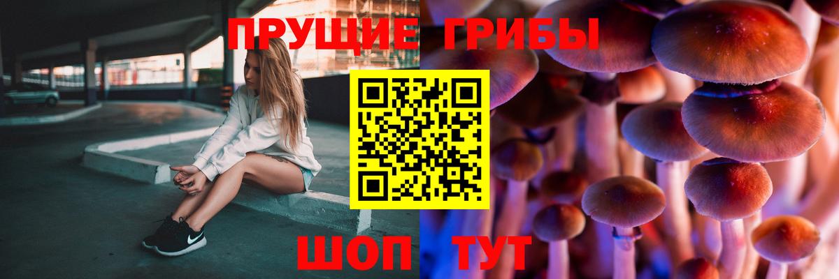 Галлюциногенные грибы ЛСД Михайловка