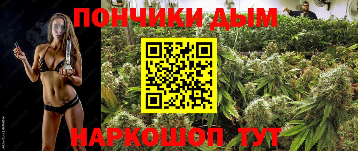 Конопля Amnesia Михайловка